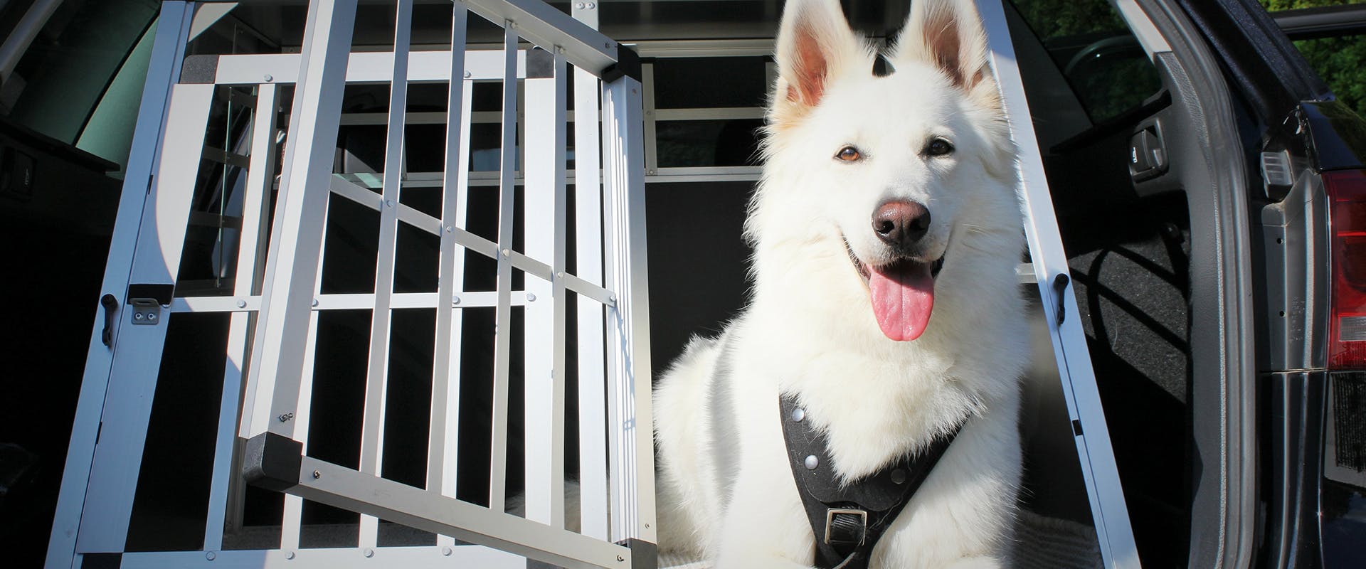 Best dog travel crate deals